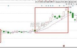 你所不知道的各式龙头解析5：趋势龙