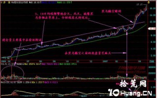 新手炒股300天教程38：黑马草上飞（图解）