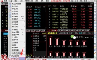 通达信使用技巧图解之十六：板块全景图