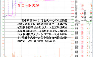 闪电式一波涨停的分时走势（图解）