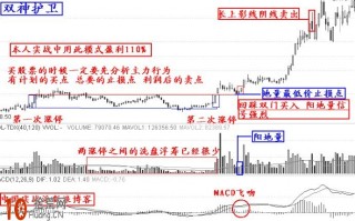 涨停板买入法实战图解：双神护卫