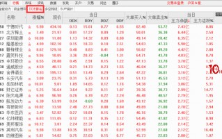 学会它！挖掘主力资金踪迹！——通达信DDE排名（图解）
