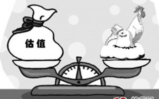 普通投资者对一只股票估值的常见误区偏见