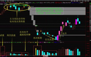 大盘系统性风险暴跌之后反弹最凶的股票都有什么特点（图解）