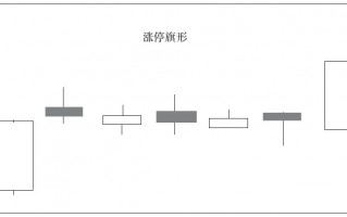 洗盘后拉升的K线组合5：涨停旗形（图解）