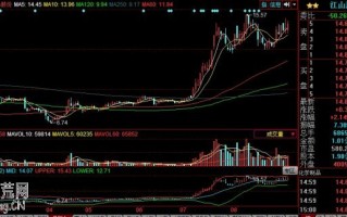 图解龙头股涨停第一日、第二日如何操作