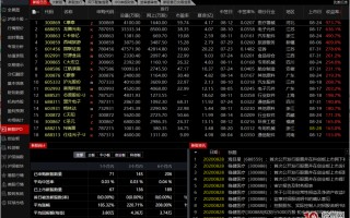通达信“新股IPO”功能页使用（图解）