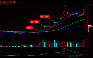 黑马形态规律深度教程7：台阶式黑马形态，附选股公式（图解）