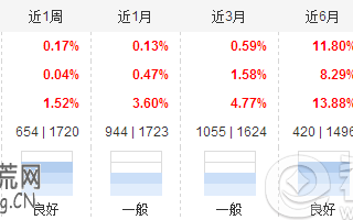 富国天惠成长精选基金怎么样