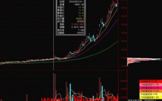 一轮股票赚钱行情的筹码分布演进过程（图解）