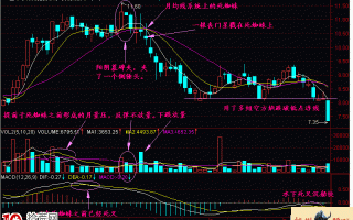 图解跌停板或大阴线向下突破高位粘合均线的死蜘蛛形态