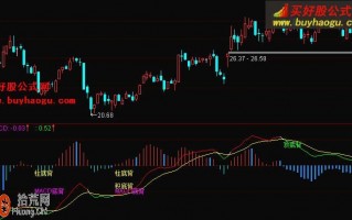 MACD顶底背离柱背离指标 通达信公式（附图）