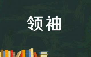 我的龙头战法深度教程1：关于龙头战法的龙头股、领袖股（图解）