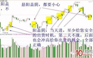 阳盖阴概念要点（图解）