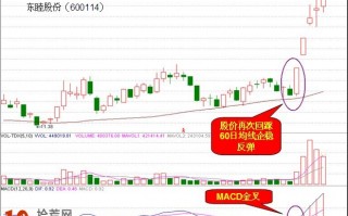 图解60日生命线+MACD金叉组合买入法