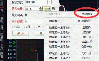 集合竞价打板模式如何结合通达信闪电买入（图解）