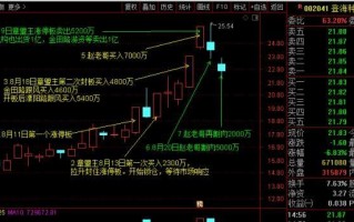 一线活跃游资的操作风格和常用席位1（图解）