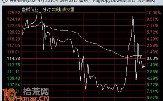 图解盘中急剧震荡的强庄股出货分时图形态