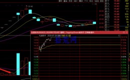 关于分歧与加速，分歧板与加速板（图解）