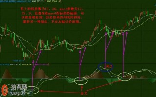 技术指标成千上百 最有效最完整的MACD战法图解