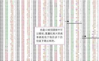 图解如何从分时图盘口挂单看机构大单砸盘出逃