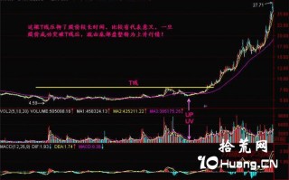 新手炒股300天教程79：T线（图解）