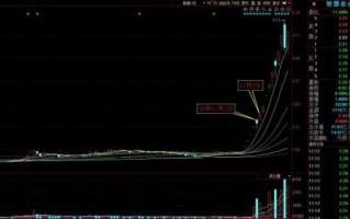 反包常出现的三种类型3：​左峰或左侧长期平台压力位的放量光头假阴线的反包类型（图解）
