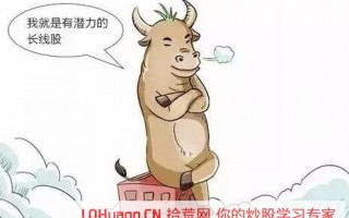 中长线投资的四大逻辑与持股周期
