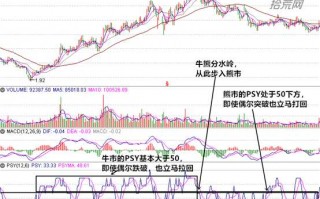 PSY指标使用教程（图解）