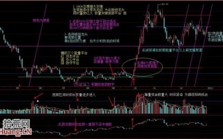 图解如何选龙头股：同板块个股底部双底形态量价强弱对比