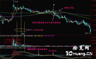 新手炒股300天教程137：死芽是暴跌先兆（图解）