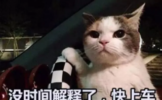 手机版通达信筹码分布选股技术（图解）
