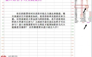 图解利用盘口语言抓牛股和回避风险技法