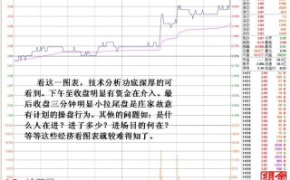大资金做庄融资操盘的盘口图解（1）