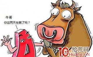 亏损百万的老股民总结出抓牛股的基本原则