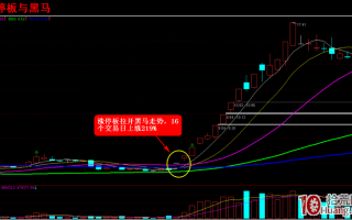 涨停板打板系列教程 第一讲：集合竞价直击涨停（图解）