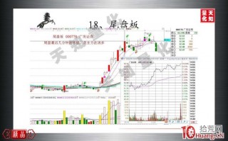 尾盘板是什么（图解）