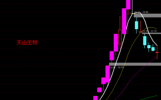 8年一万倍你信不信？谈谈我对短线交易的认知