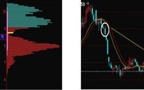 图解什么是筹码分布图的低位密集形态