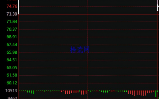 竞价图上的实时报价（白点）