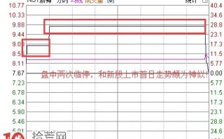 从*ST新梅(600732.SH)退市复牌股上市首日看不限涨跌幅的风险