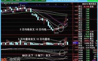 四种必拉涨停板的技术形态，买入必赚钱（图解）