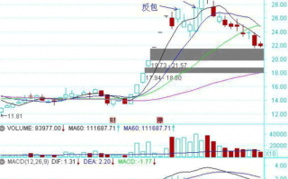 龙头股低吸手册深度教程14：龙回头的操盘流程（图解）