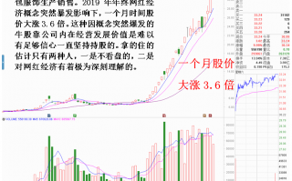 为什么牛股你拿不住？超级大牛股的持股信心根源（图解）